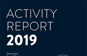 Activity Report 2019