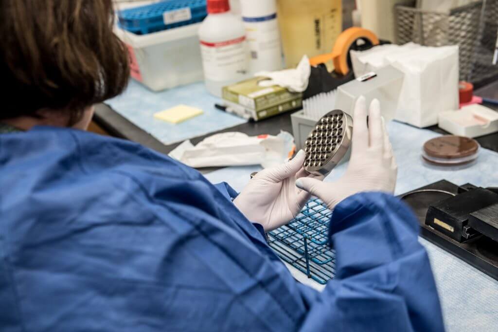scientist looking at experiment
