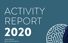 Activity Report 2020