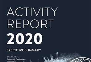 Activity Report 2020: Executive Summary