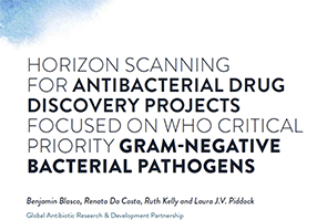 Horizon scanning for antibacterial drug discovery projects focused on WHO critical priority Gram-negative bacterial pathogens