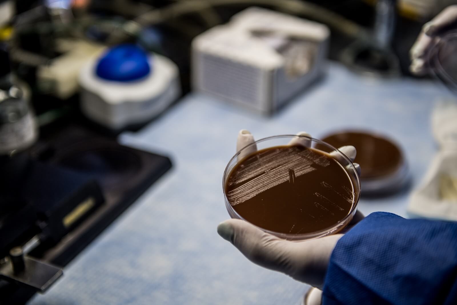 Gardp Gonorrhoea Phase 3 Trial Alabama 1.jpg