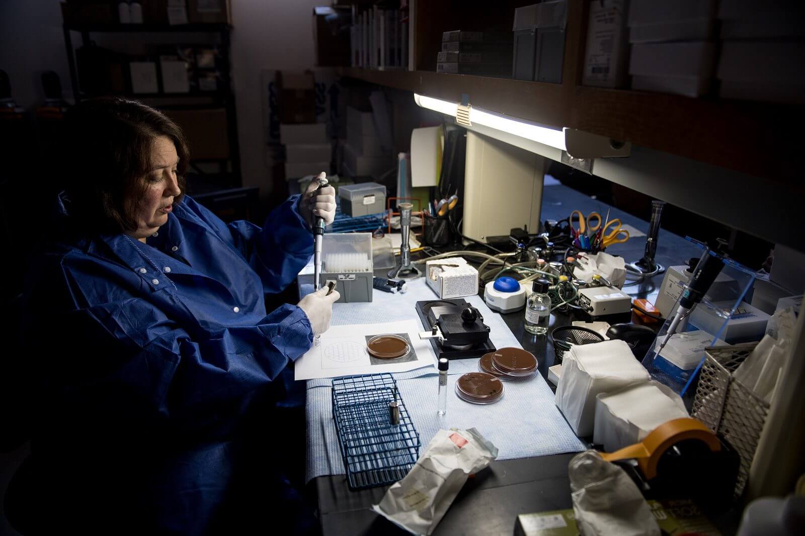 Gardp Gonorrhoea Phase 3 Trial Alabama 2 2 E1573573475330.jpg