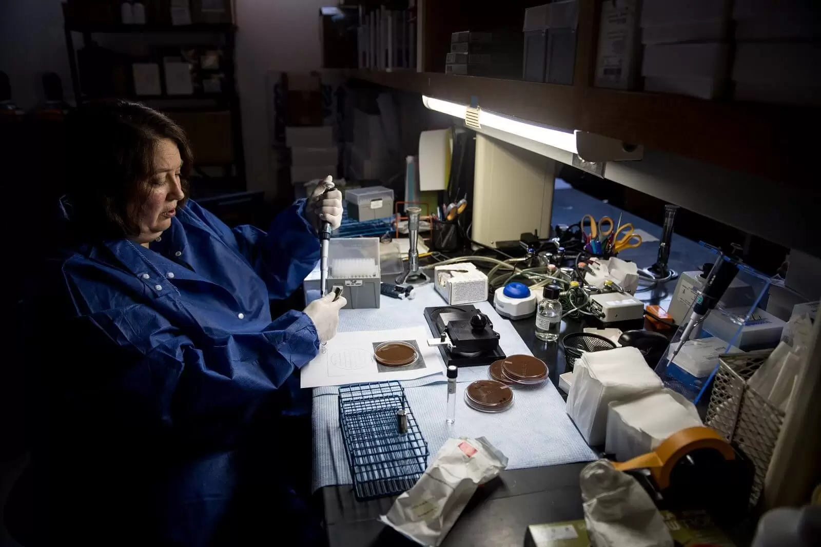 Gardp Gonorrhoea Phase 3 Trial Alabama 2 2 E1573573475330.jpg