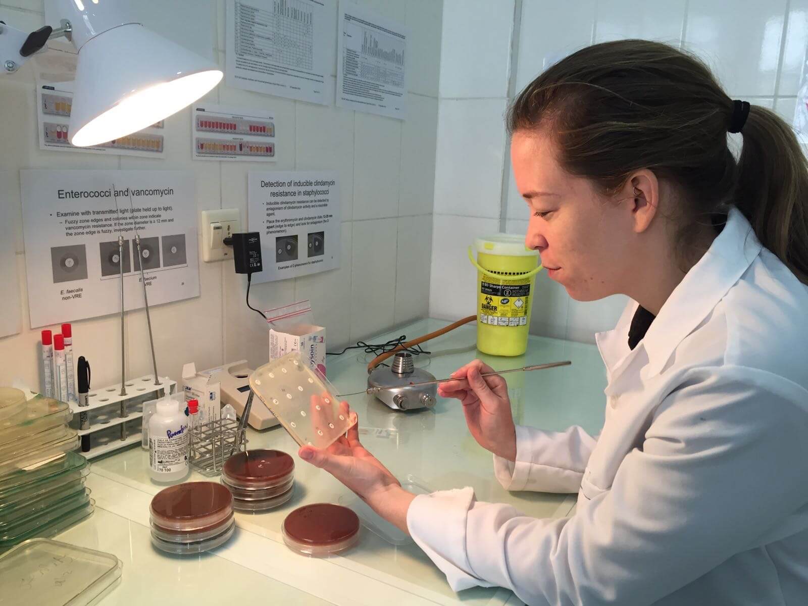 Scientist Lab Petri Dish Bacteria 3.jpg