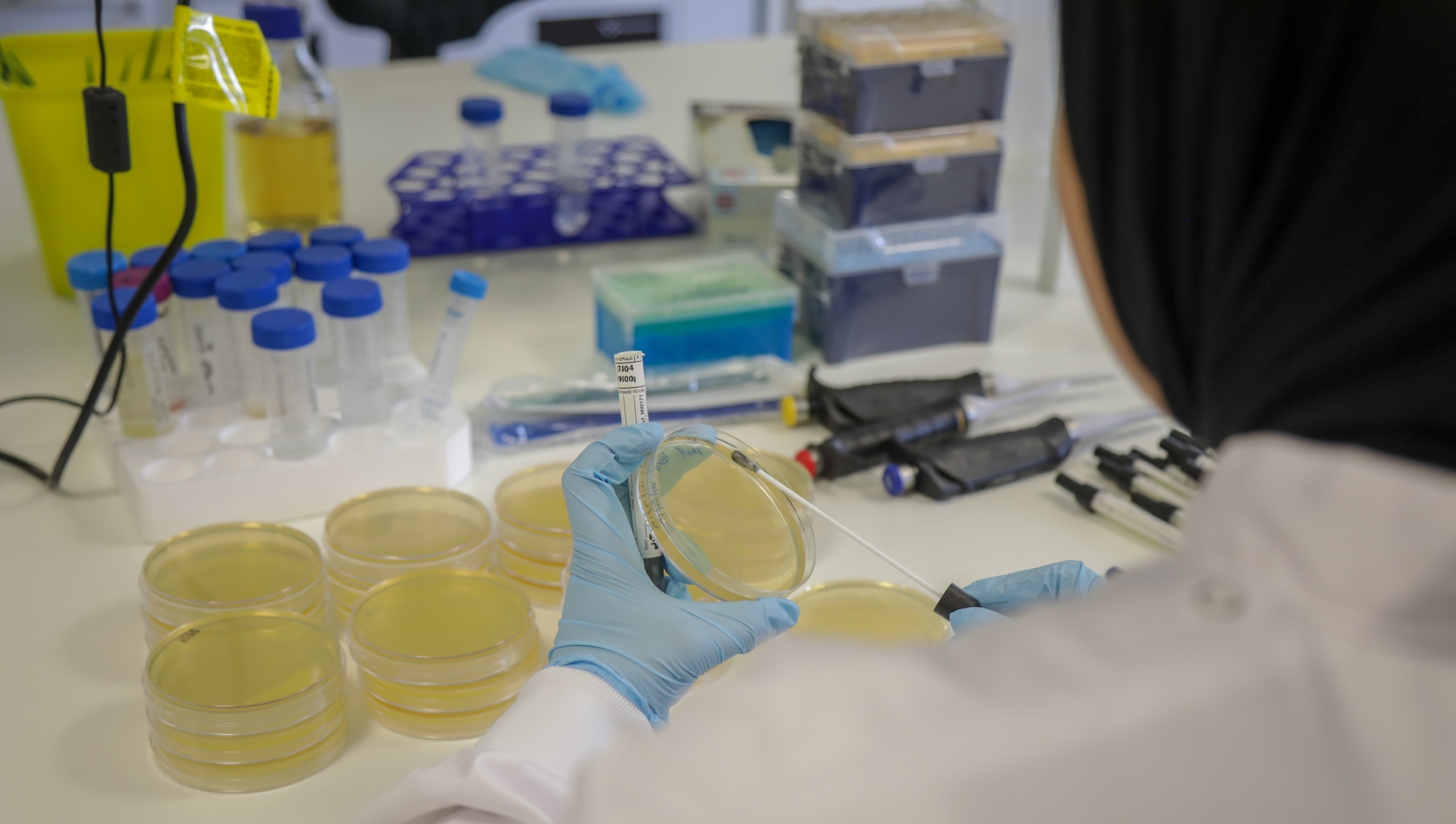 GARDP and the University of Liverpool plan to boost collaboration on AMR