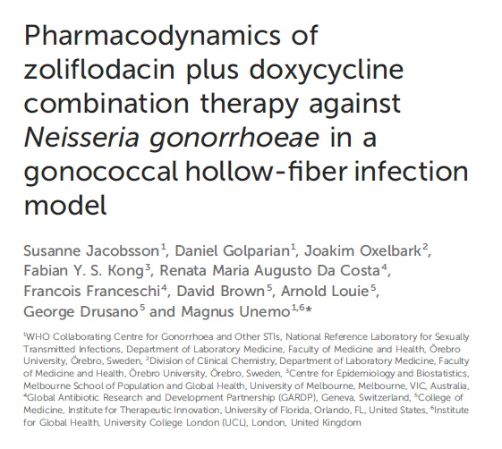 Pharmacodynamics of zoliflodacin plus doxycycline combination therapy against Neisseria gonorrhoeae in a gonococcal hollow-fiber infection model