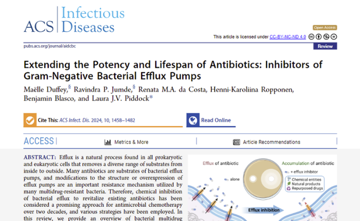 Extending the Potency and Lifespan of Antibiotics: Inhibitors of Gram-Negative Bacterial Efflux Pumps
