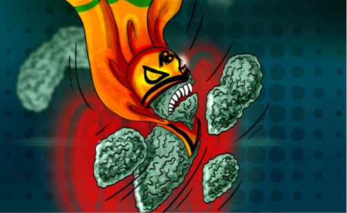 Meet Acinetobacter