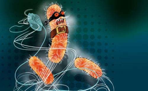 Meet Pseudomonas