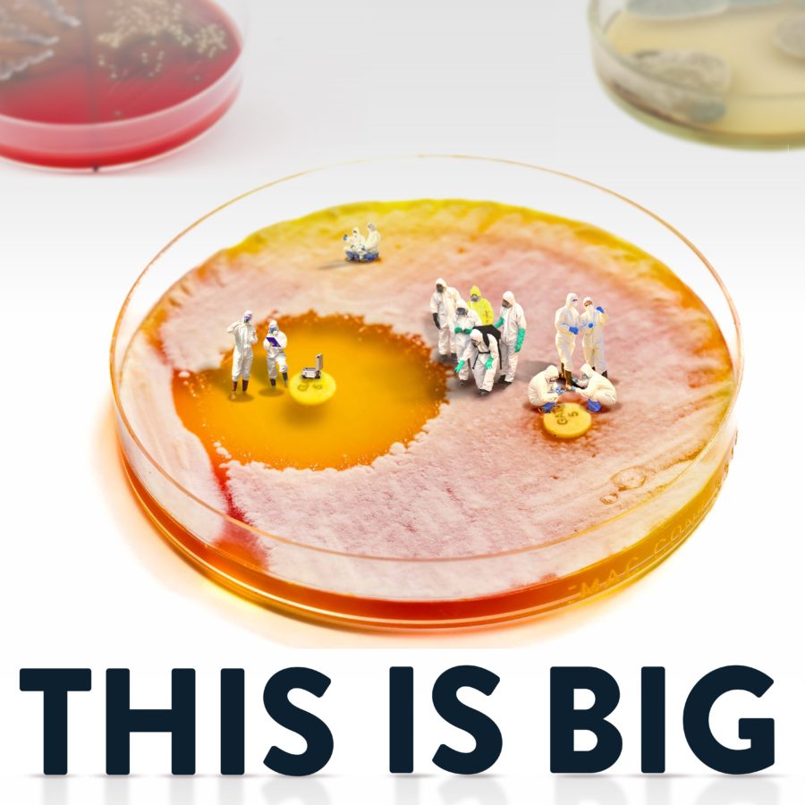 Thisisbig Petri Dish