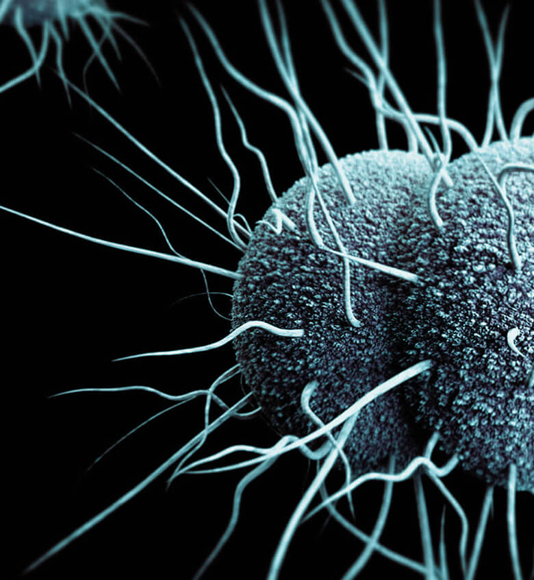 Superbug 1