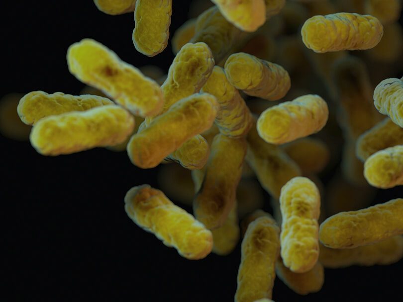 Superbug 3