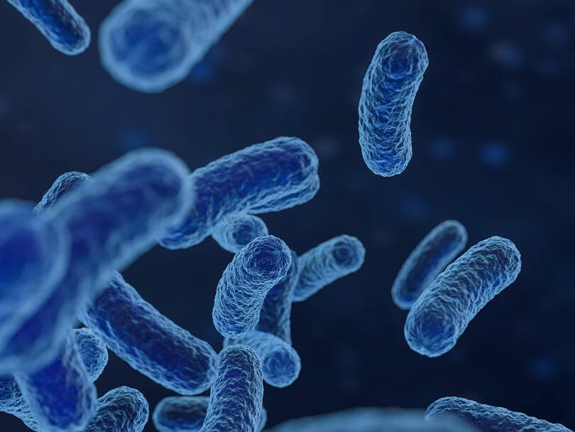 Superbug 4